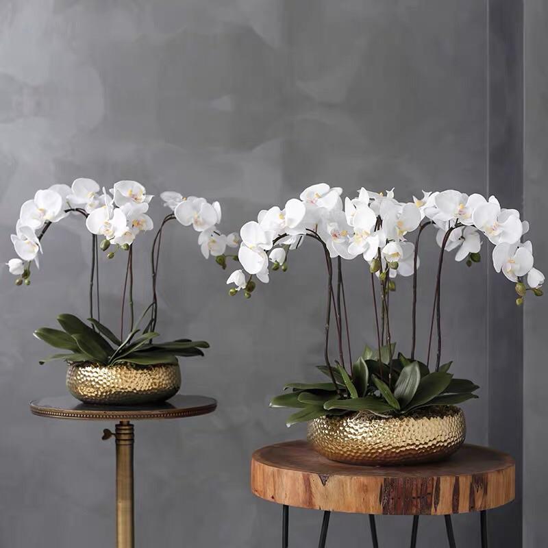 Artificial Orchid & Ivy Vines  Artificial Plants – The Happy House Store