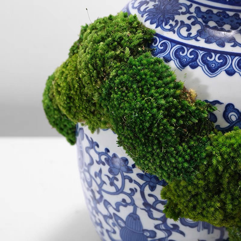 VICKY YAO Faux Plant Exclusive Design Preserved Moss Bowl Art -  Denmark