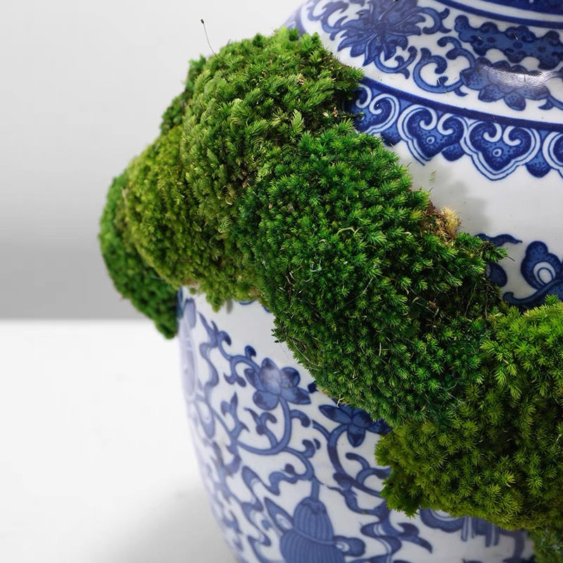 VICKY YAO Faux Plant Exclusive Design Preserved Moss Bowl Art