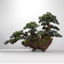 Load image into Gallery viewer, VICKY YAO Fine Bonsai - Exclusively Designed Unique Handcrafted Century-Old Driftwood Realistic Bonsai Art Sculpture L130xH85cm