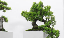 画像をギャラリービューアに読み込む, VICKY YAO - Natural Indian Green Marble Base Artificial Bonsai Luxury Hotel Art Decor Modern Zen Sculpture for Lobby &amp; Interior Design