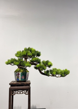Laden Sie das Bild in den Galerie-Viewer, VICKY YAO Fine Bonsai- Exclusive Design Enamel Craft Basic Faux Bonsai Art L35xW14xH20cm