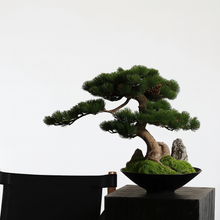 Load image into Gallery viewer, VICKY YAO -Realistic Japanese Pine Bonsai in Black Bowl Handmade Artificial Tree with Preserved Moss &amp; Stone Zen Home or Office Decor 48x30x40H