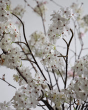 Load image into Gallery viewer, VICKY YAO - Aman Hotel Style Artificial Pear Blossom Arrangement | Luxury White Floral Installation | Modern Minimalist Table Decor
