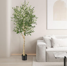 Load image into Gallery viewer, VICKY YAO - Artificial Olive Tree, 182 cm Tall Faux Olive Plant in Cement Pot Potted Olive Silk Tree Fake Greenery Plant for Indoor Home Office