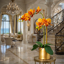 Laden Sie das Bild in den Galerie-Viewer, VICKY YAO Design Aesthetic - Exclusive Design Orange Artificial Phalaenopsis Orchid Arrangement