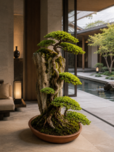 Laden Sie das Bild in den Galerie-Viewer, VICKY YAO Fine Bonsai - Roots Over Rock Bonsai Art Sculpture, Realistic Japanese Bonsai Tree, Preserved Moss, Luxury Zen Home &amp; Hotel Decor