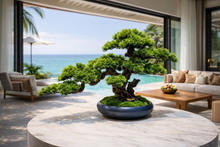 Load image into Gallery viewer, VICKY YAO Design Aesthetic - Exclusive Design Handmade Artificial Bonsai Art L65 x W26 x H45cm