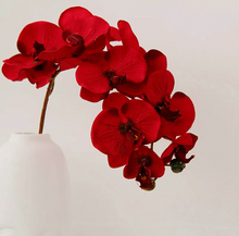 Load image into Gallery viewer, VICKY YAO Faux Floral - Natural Touch Phalaenopsis Orchid 10 Flowers Chinese Red / Burgundy Res 1 Stem