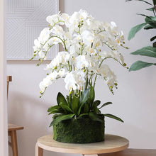 Laden Sie das Bild in den Galerie-Viewer, VICKY YAO Faux Floral - Handmade Super High Real Touch 19 stems Artificial Orchids Arrangement With Hard Mud Mortar Pot