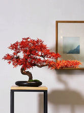 將圖片載入圖庫檢視器 VICKY YAO Design Aesthetic - June New Arrival Exclusive Design Handmade Japanese Style Red Maple Bonsai Art 60L x 22W x 40cm H