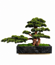 Load image into Gallery viewer, VICKY YAO Fine Bonsai - Realistic Hotel Style Bonsai Art with Marble Base L90xW30xH62cm