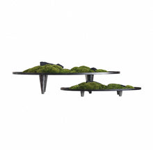 Load image into Gallery viewer, VICKY YAO  - Modern Zen Moss Centerpiece | Elevated Tabletop Landscape Art Japanese Inspired Table Decor Home &amp; Office Decor Wabisabi Design