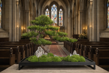 Load image into Gallery viewer, VICK YAO - Luxury Hotel Bonsai Art | Aman-Inspired Zen Interior Sculpture
L71 x D25-30cm x H46cm