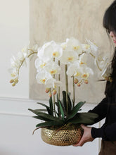 Load image into Gallery viewer, VICKY YAO Design - Best selling Luxury Natural Touch White 6 Stems Phalaenopsis Orchid Arrangement with Real Preserved Moss for Home &amp; Office Decor