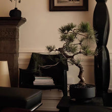 Load image into Gallery viewer, VICKY YAO - Artificial Bonsai Tree Pine with Real Trunk Fake Plant Indoor Decoration, Zen Japanese Home Decor 55x 28 x 68cmH