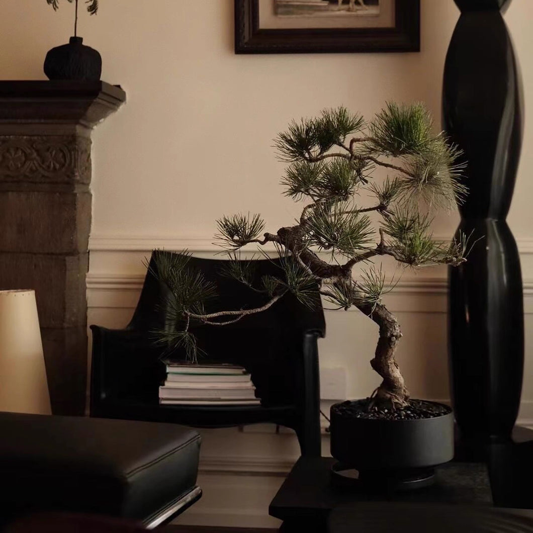 VICKY YAO - Artificial Bonsai Tree Pine with Real Trunk Fake Plant Indoor Decoration, Zen Japanese Home Decor 55x 28 x 68cmH