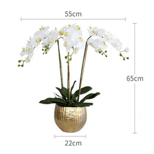 Load image into Gallery viewer, VICKY YAO Luxury Realistic Real Touch Orchid Arrangement in Gold Pot