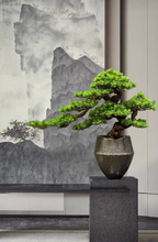 將圖片載入圖庫檢視器 VICKY YAO Fine Bonsai - Exclusive Design Realistic Luxury Restaurant Faux Bonsai Art 78x68cmH