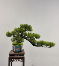 Laden Sie das Bild in den Galerie-Viewer, VICKY YAO Fine Bonsai- Exclusive Design Enamel Craft Basic Faux Bonsai Art L35xW14xH20cm