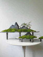 Load image into Gallery viewer, VICKY YAO Design Aesthetic - Exclusive Design Handmade Preserved Moss Feng Shui Realistic Bonsai Art