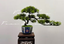 画像をギャラリービューアに読み込む, VICKY YAO Design Aesthetic - Exclusive Design Enamel Craft Basic Faux Bonsai Art 35x14x20