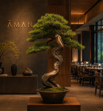 Load image into Gallery viewer, VICKY YAO-Bespoke Artificial Bonsai Art Crafted from Thousand-Year-Old Cliff Juniper