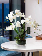Load image into Gallery viewer, VICKY YAO Faux Floral - Exclusive Design White Faux Orchid Arrangement With Glass Pot