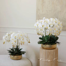 画像をギャラリービューアに読み込む, VICKY YAO Design aesthetic- Best Popular Handmade Exclusive Design Natural Touch Artificial Orchids 8 stems Art In Ceramic Golden Pot