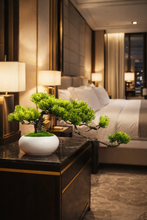 將圖片載入圖庫檢視器 VICKY YAO Faux Bonsai - Natural Fresh Green Artificial Bonsai Art In White Pot