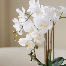 画像をギャラリービューアに読み込む, VICKY YAO Design aesthetic- Best Popular Handmade Exclusive Design Natural Touch Artificial Orchids 8 stems Art In Ceramic Golden Pot