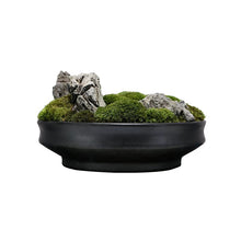 將圖片載入圖庫檢視器 VICKY YAO - Decorative Trays Black Moss Bowl Moss Gifts for Centerpiece Home Office Decor Custom Unique Gift Decorative Bowl Decor Gifts