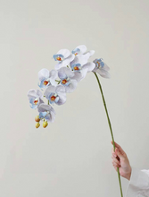 Load image into Gallery viewer, VICKY YAO Faux Floral - A single stem of Phalaenopsis orchid with a realistic touch, available in different colors