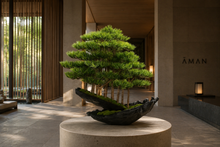 Load image into Gallery viewer, VICKY YAO Fine Bonsai - Exclusive Limited Edition Forest Bonsai Style |Realistic Bonsai Landscape Installation Art Zen Decor L65xW30xH66cm