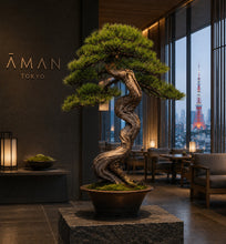Load image into Gallery viewer, VICKY YAO-Bespoke Artificial Bonsai Art Crafted from Thousand-Year-Old Cliff Juniper