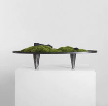 Load image into Gallery viewer, VICKY YAO  - Modern Zen Moss Centerpiece | Elevated Tabletop Landscape Art Japanese Inspired Table Decor Home &amp; Office Decor Wabisabi Design