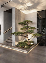 Load image into Gallery viewer, VICKY YAO Fine Bonsai - Giant bonsai projects / café projects / hotel projects are customizable in any size. UV-proof, waterproof indoor outdoor