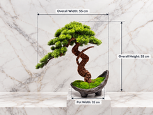 Laden Sie das Bild in den Galerie-Viewer, VICKY YAO-Artificial Bonsai Tree in Half-Moon Pot ｜Zen Decor for Home or Office | Japanese Style Faux Pine Tree with Moss L55xW25xH50cm
