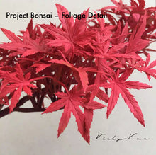 Load image into Gallery viewer, VICKY YAO Fine Bonsai - 2025 Latest Artwork: Realistic Bonsai Art Featuring Red Maple Leaves 70 x 42cmH