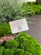 画像をギャラリービューアに読み込む, VICKY YAO Design - Bespoke Bonsai Installation for Staircase Spaces UV-resistant, not waterproof (for indoor use only)