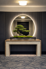 Load image into Gallery viewer, VICK YAO - Luxury Hotel Bonsai Art | Aman-Inspired Zen Interior Sculpture
L71 x D25-30cm x H46cm