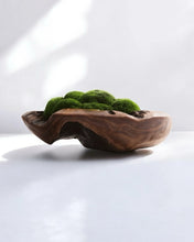 Load image into Gallery viewer, VICKY YAO Design Aesthetic - Real Preserved Moss Bowl Centerpiece, Unique form , table centerpiece The FOREST Bowl.  Moss Centerpiece. D30cm