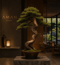 Load image into Gallery viewer, VICKY YAO-Bespoke Artificial Bonsai Art Crafted from Thousand-Year-Old Cliff Juniper