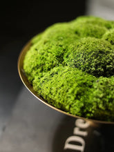 Load image into Gallery viewer, VICKY YAO - Natural Roman Travertine Bowl with Preserved Moss Wabi-Sabi Aesthetic Home Decor | Handmade Zen Art W15xH25cm