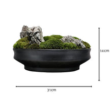 將圖片載入圖庫檢視器 VICKY YAO - Decorative Trays Black Moss Bowl Moss Gifts for Centerpiece Home Office Decor Custom Unique Gift Decorative Bowl Decor Gifts