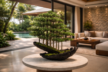 Load image into Gallery viewer, VICKY YAO - Fine Art Forest Bonsai Sculpture ｜Artificial Bonsai Driftwood Style Japanese Zen Tree Arrangement – Luxury Home Decor