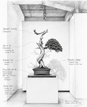 Load image into Gallery viewer, VICKY YAO-Unique Millennium Cliff Cypress Bonsai Art,Dragon Form Driftwood Sculpture, Handmade Realistic Zen Bonsai Decor,Zen Interior Decor