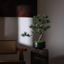 Load image into Gallery viewer, VICKY YAO - Artificial Bonsai Tree Pine with Real Trunk Fake Plant Indoor Decoration, Zen Japanese Home Decor 55x 28 x 68cmH