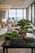 Load image into Gallery viewer, VICKY YAO Fine Bonsai - Realistic Hotel Style Bonsai Art with Marble Base L90xW30xH62cm