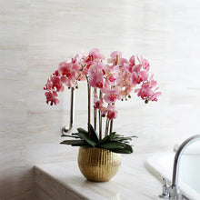 Load image into Gallery viewer, VICKY YAO Luxury Realistic Real Touch Orchid Arrangement in Gold Pot